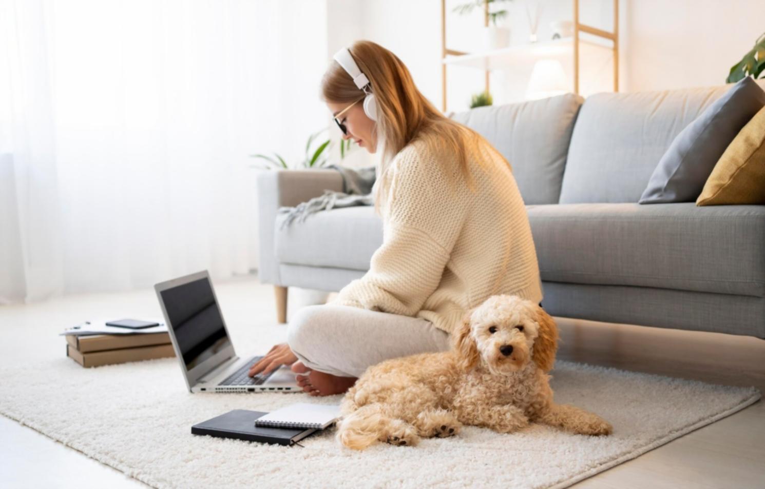 Documents financiers et outils d'évaluation d'entreprise